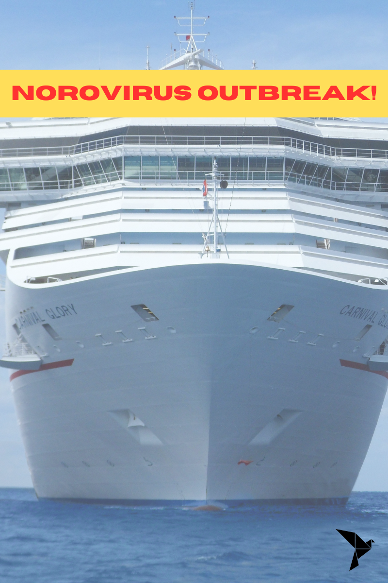 Cruise ships hygiene fails causing norovirus outbreaks and passenger illnesses on board
