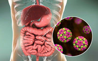 Norovirus infections increasing post-lockdown with hygiene advice and effective hand sanitiser use