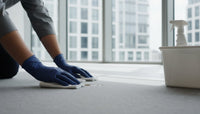 How to Remove Coffee Stains from Office Carpet: A Professional Guide