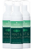 Mint and eucalyptus hand foam sanitiser bottles with gentle and effective biocide formula.