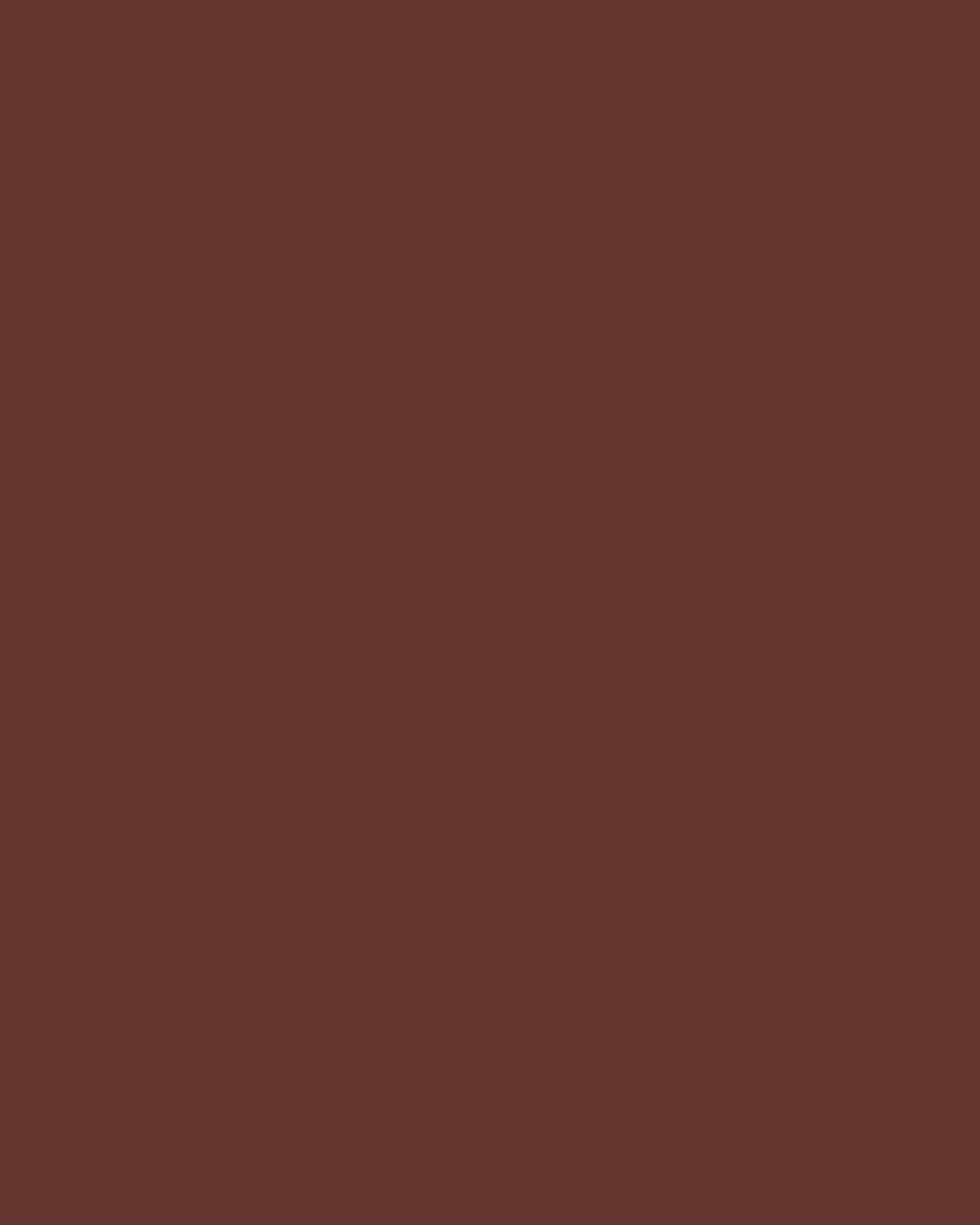 Polybond Poly Enamel Paint can with brush showing durable multi-surface high-gloss coating for metal, wood, and masonry