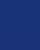 Polybond Poly Enamel Paint can with brush showing glossy multi-surface coating and durable finish