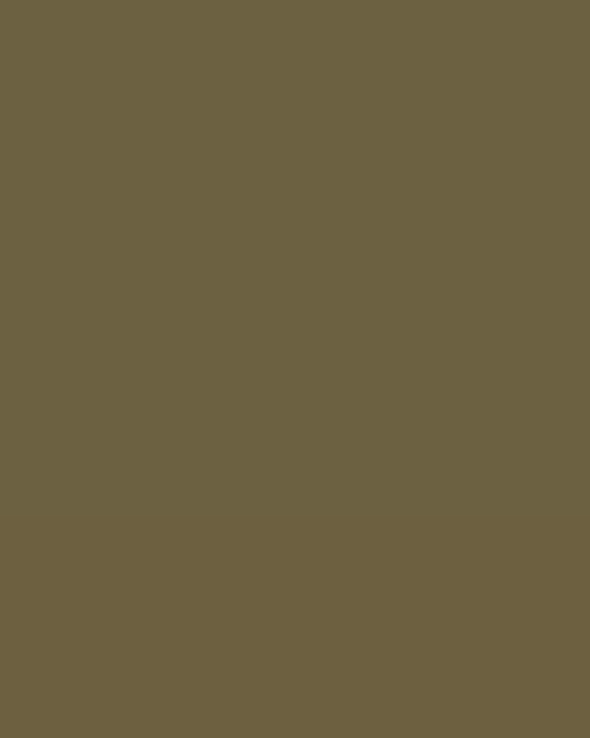 Polybond Poly Enamel Paint can with glossy multi-surface coating for durable, high-shine finish on metal, wood, and masonry surfaces
