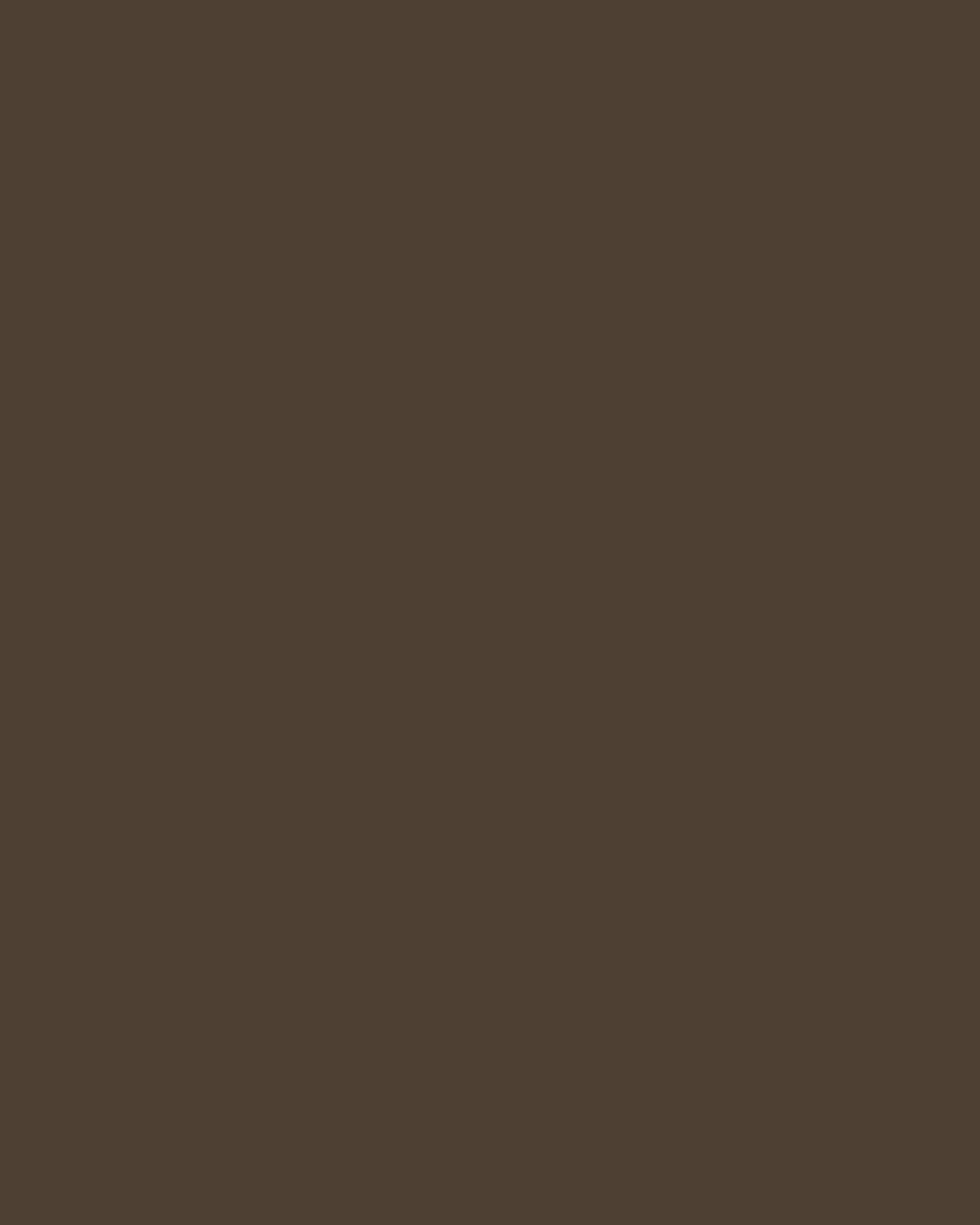 Polybond Poly Enamel Paint can with brush showing glossy durable multi-surface coating for metal and wood